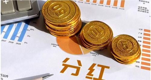 入股分红是什么意思