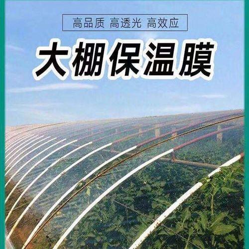 冬天在塑料布棚里生活会暖和吗