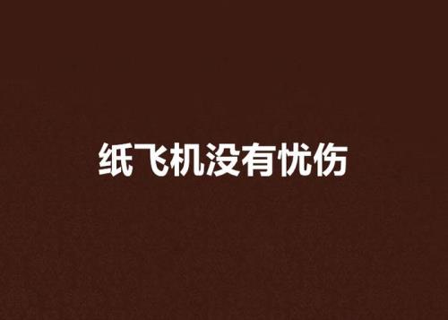 第一章是在飞机上的小说