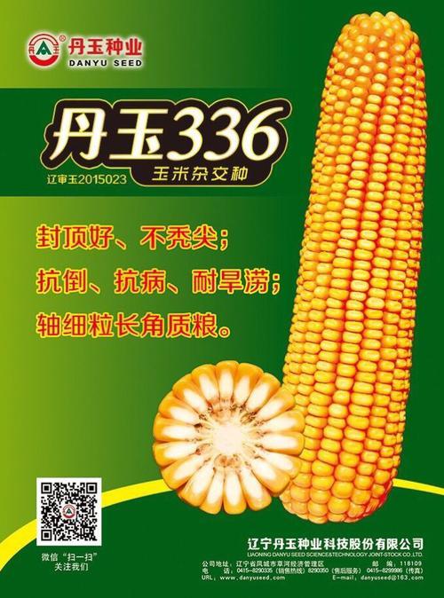 京科628玉米种国审公告