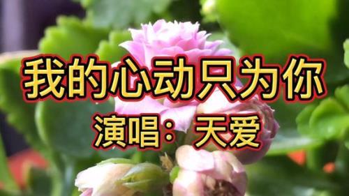 红尘飘啊飘这首歌名叫什么