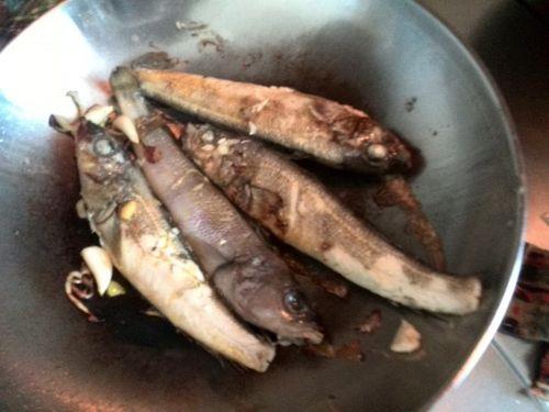 尖嘴鱼怎么做好吃啊