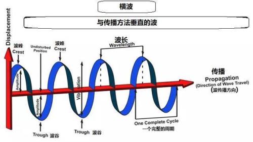 振幅一定是正数吗
