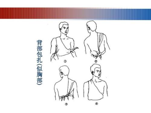 胸肩背还是胸背肩
