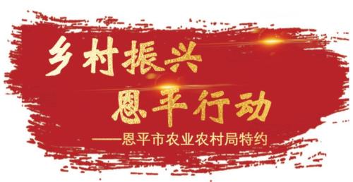 2021新农人计划是什么意思