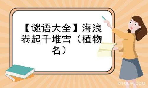 卷起千堆雪的雪词语活用