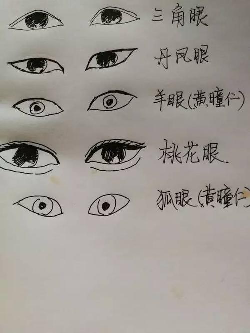 丹凤眼有什么寓意