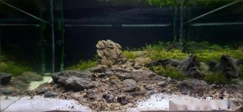 溪流缸石头选择