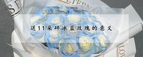 冰蓝什么意思