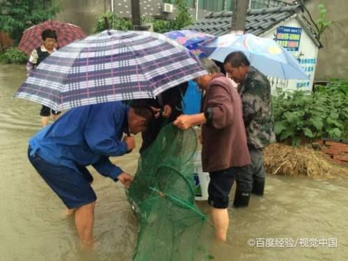地笼放在水流急的地方可以吗