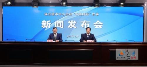 连云港企业排名