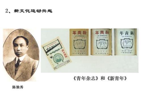 新文化运动指的是