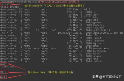 Tx什么意思