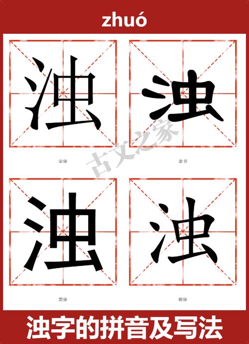 浊读什么