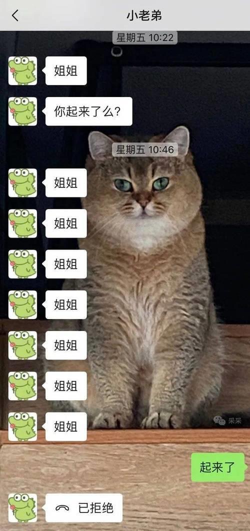 小何小何下一句怎么接搞笑的
