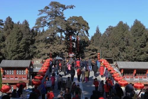 颐和园2023年有庙会吗