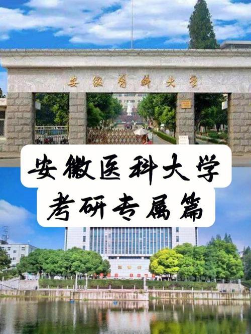 2023考研报考安徽医科大学有多少人