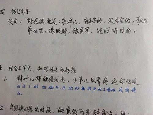 浪花轻轻的绕过小脚丫仿写句子