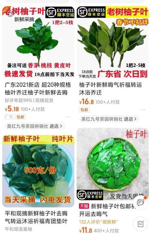 广东人洗柚子叶是因为什么