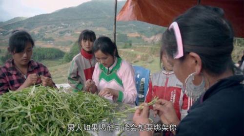 苗语芝麻是什么意思