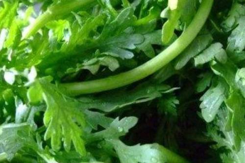 茼蒿热量