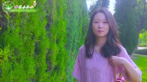 妹妹来看我原唱完整歌词