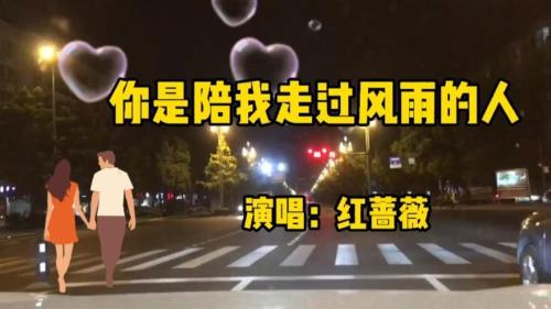 你是陪我走过风雨的人歌词寓意