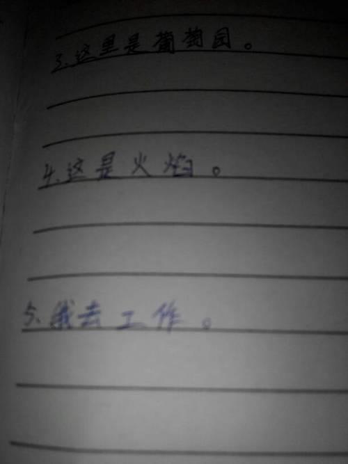 他高兴极了,扩句两处