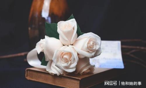 人生注定有此劫下一句