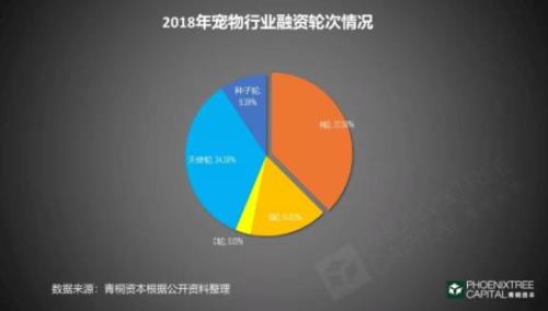 经济不好的情况下养宠物行业