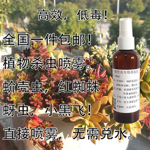 红蜘蛛最怕三种药