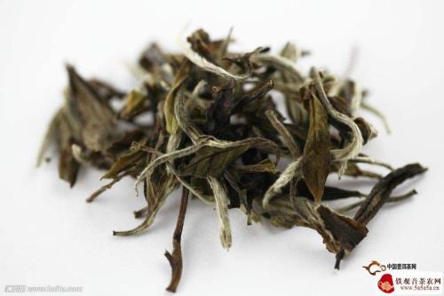 白茶是属于什么茶科