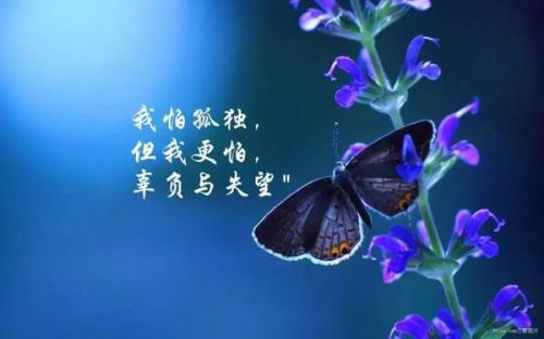 不必在乎我是谁的句子
