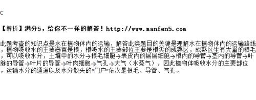水分是通过导管散失的吗