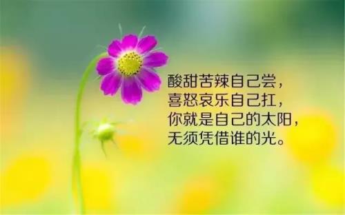 人生哲理情感经典语录