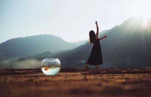 见一面分一半什么意思
