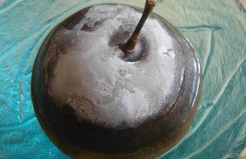 冻梨可以用热水解冻吗