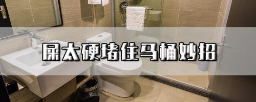 怎么通马桶被屎堵家庭小妙招
