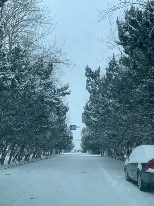一场大雪的正确读音