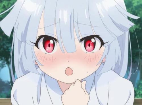 圣道狂徒女主角有几个
