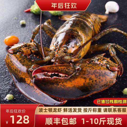澳洲龙虾怎么冷冻储存