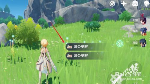 原神蒲公英多久更新一次