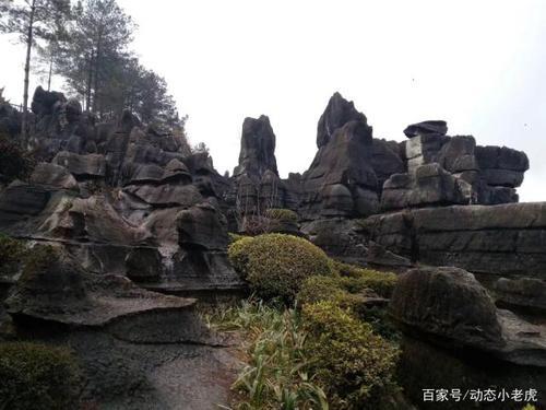 六春湖的地形地貌