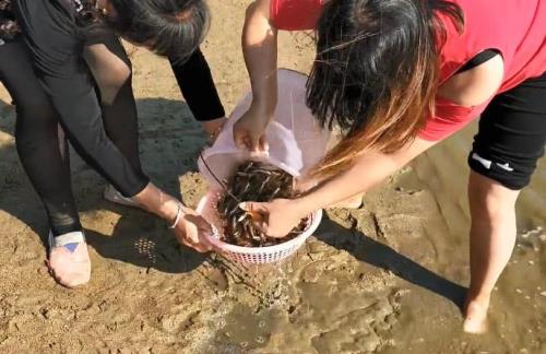 地笼里放猪肉有用吗