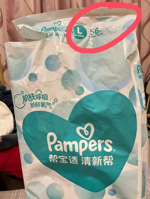 清新帮有几个版本