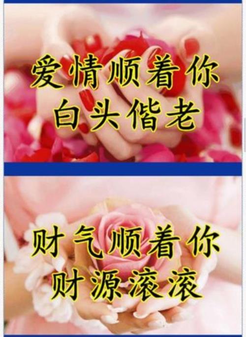 祝沈总顺风顺水经典语录