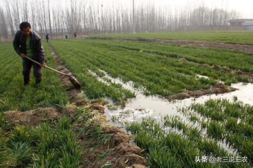 什么时间浇返青水最合适