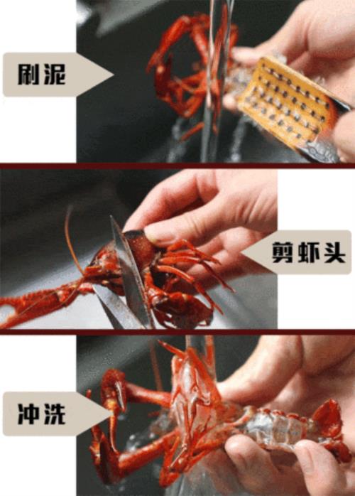龙虾虾线怎么去除最简单方法