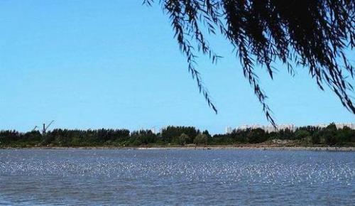 松花江水波连波原唱