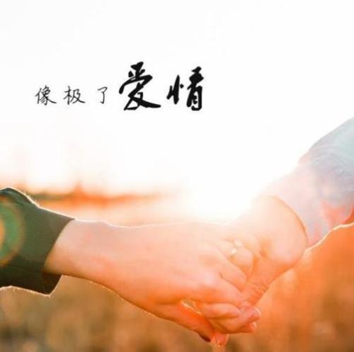 要一直相爱不放手是什么歌